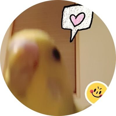 ʚひよりɞ🚀🌏さんのプロフィール画像
