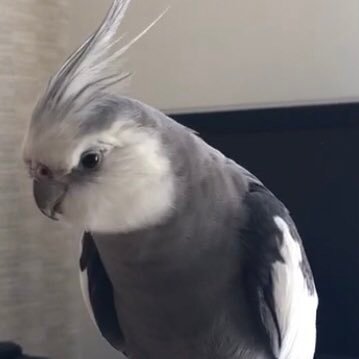 Alexisander86p's profile picture. 