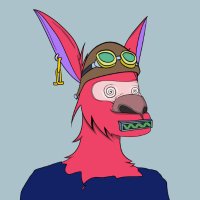 Kangaroo Klub House (@kangaroo_kh) 's Twitter Profile