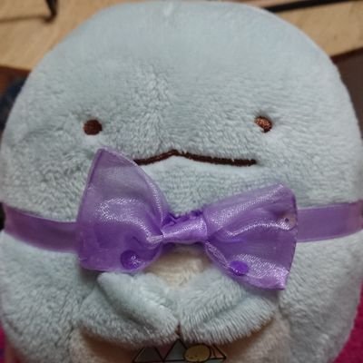 Nekogasuki_0703's profile picture. 踊り手世那( @sena_5586dance ) の保護者👗📸兼オタク💚:☃️🧡:🐯🤍:🍙:⚡️ ☘️予定→ 11/30 W's(東京/池袋) 😊