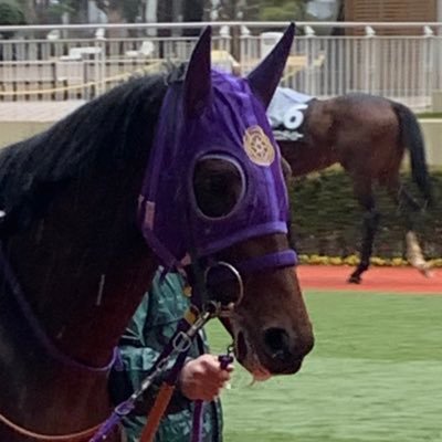 お馬眺めるの大好き🐴速い子ものんびりな子もみんな可愛い🐴/ゴールドシップ推し💓/芦毛応援隊💓/牝馬さん大好き🥰/動物に癒してもらう日々/UMAJO/無言フォロー失礼します🥺/予想屋さんはNo thanks🙅♀️🙅♂️/いろいろ呟きます。/NikonD7500