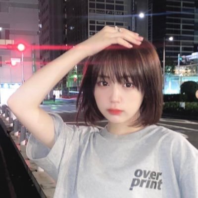 hashiru_innu's profile picture. 