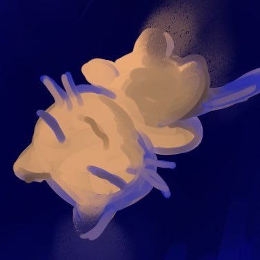 ねるみち🐟さんのプロフィール画像