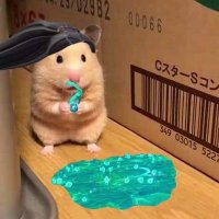 Candle (@luce_520) 's Twitter Profile