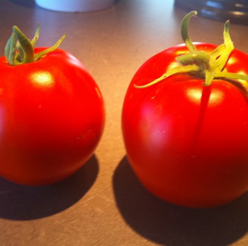 deebork's profile picture. 