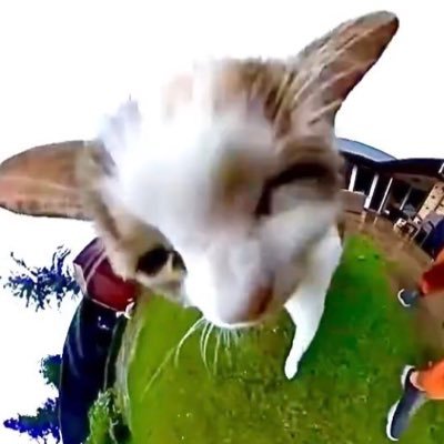 Asherさんのプロフィール画像