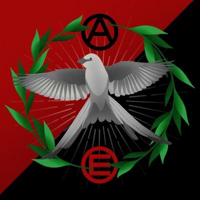 An anarchist organization in Tulsa, Oklahoma inspired by especifist praxis. Building a stronger community through mutual aid and direct action.