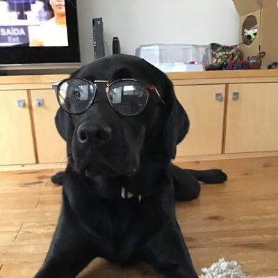 p0nta_koume's profile picture. 