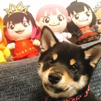 MoonDrop (@moondrop1026) 's Twitter Profile
