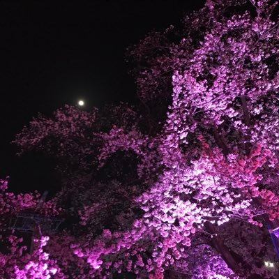 都宇🍀低浮上…さんのプロフィール画像