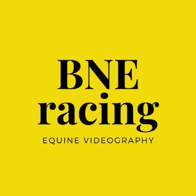 BNE_racing Profile Picture