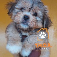 FabToebby (@ftoebby) Twitter profile photo