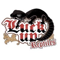 LUCK UP Reptiles 🦎阿佐ヶ谷(@LUCKUP_yosshi) 's Twitter Profile Photo