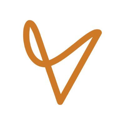 @vdt_law