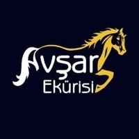 AVŞAR EKÜRİSİ (@avsarekurisi) Twitter profile photo
