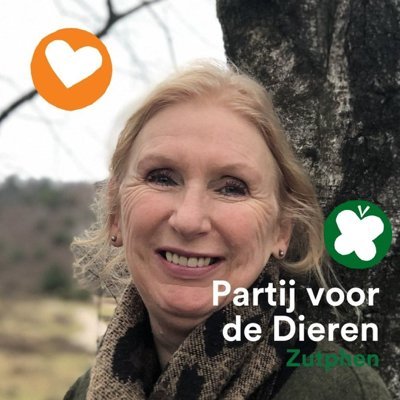 Fractievoorzitter PvdD Zutphen, lezen, schrijven, Engels, vertalen, muziek, les geven, duurzaamheid, mededogen, Murakami, permacultuur, Party for the animals