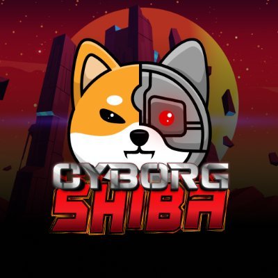 #CyborgShiba builds its own world! Join us to be a part of this World. 🔥 
 ✊ https://t.co/OuOlgnX00O