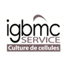 SC_Cell_IGBMC's profile picture. Par différentes prestations qui ne cessent d’évoluer, le service, crée en 1970 par Pierre Chambon, est un support technique pour les équipes de recherche.