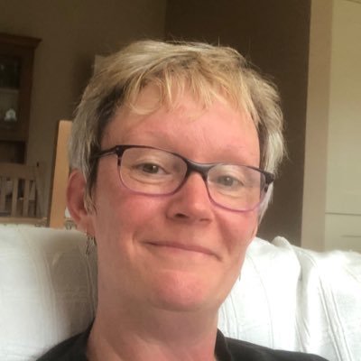 MorrisMozzetta's profile picture. Retired teacher. Author of “Sock” and their further adventures