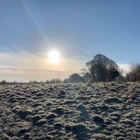 Alison Jones (@jones_alison_uk) 's Twitter Profile Photo Alison Jones (@jones_alison_uk) 's Twitter Profile Photo