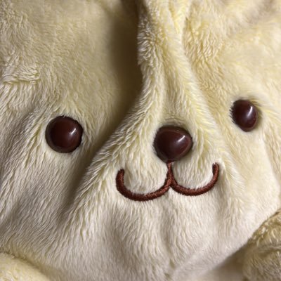 SunMaoMaoさんのプロフィール画像