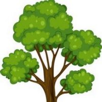 Neem Tree(@NeemTreeBark) 's Twitter Profile Photo