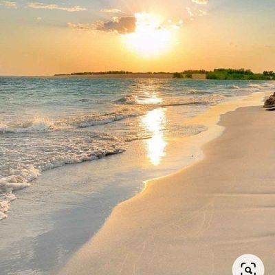 __rae_______'s profile picture. 🇬🇩×🇻🇨 || 
♐♉♈ ||

2% girl, 98% anxiety