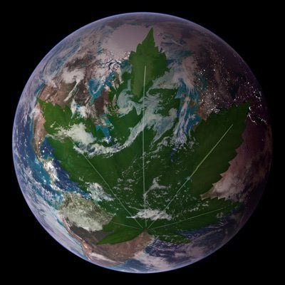 Let the world shine greener and brighter. Always look on the bright side of life and never stop believing in a better world. The answer is 27!