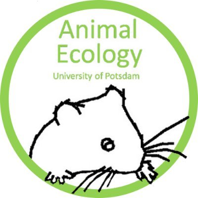 Animal Ecology Group at UniPotsdam. Behavioural ecology of 🐹🐭🦗. Lead by @JanaEccard. Tweets by group.