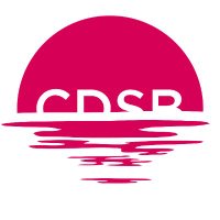 CDSB(@CDSBglobal) 's Twitter Profile Photo