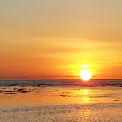 MathieuMedardo1's profile picture. 