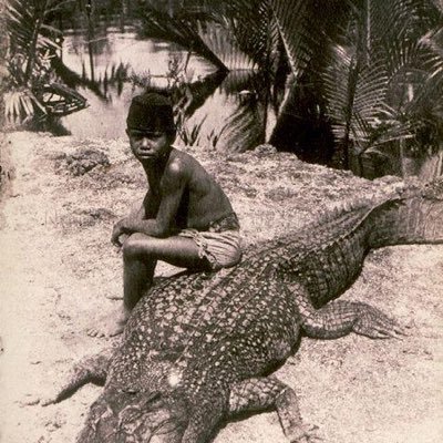 reynaganara's profile picture. 