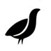 Максим (@perepel_twit) Twitter profile photo Максим (@perepel_twit) Twitter profile photo