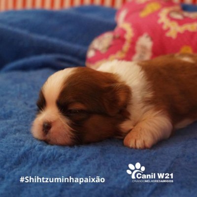 canilw21's profile picture. 