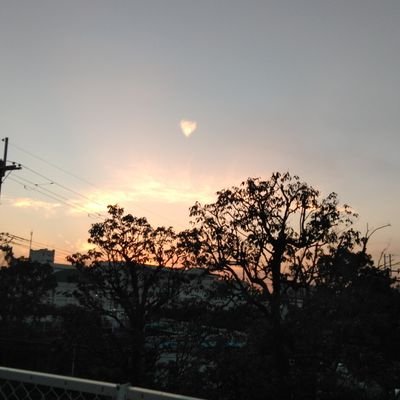 小川大地激推し(202412/30SNS復帰)スマホ新しくする時、本アカに入れず😢こちらで活動します😅TACKER、しおP、チャップリンTV、ひみつのあっこちゃん、笑いヨガetc