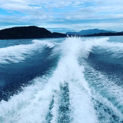 rafabat's profile picture. wine lover