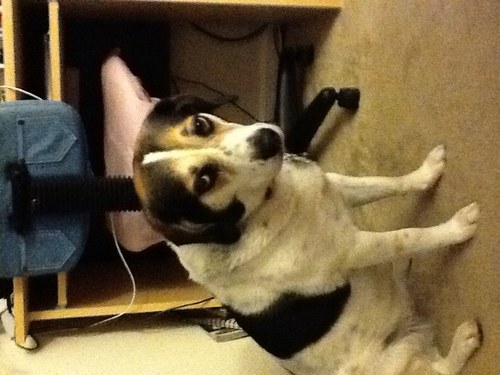 EileenMcCracken's profile picture. 