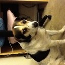 Eileen McCracken - @EileenMcCracken - Twitter