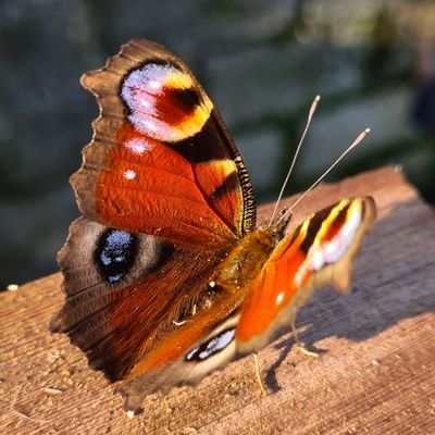 theunhappyman1's profile picture. I'm a single Dad who suffers from PTSD and this is my journey