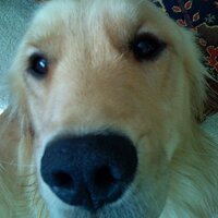 Jill Lieber Steeg (@jillliebersteeg) 's Twitter Profile Photo