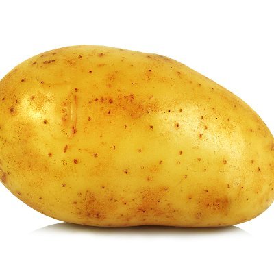 _Hoogendijk_'s profile picture. 