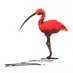 JF Miller #BLM (@jfmiller_tt) Twitter profile photo JF Miller #BLM (@jfmiller_tt) Twitter profile photo