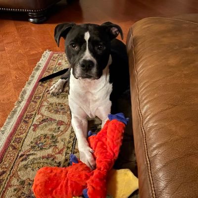 lanars22's profile picture. 