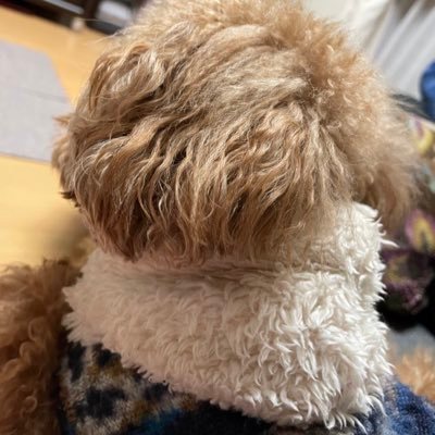 L4mbdaさんのプロフィール画像
