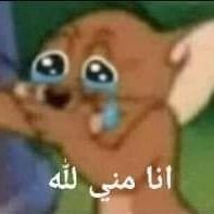أيوه يا سيدي أنا الشخص اللى فقد شغفه تجاه كل شيء 🥲
زعنوف الليل الحزين 🥲 🌑
Nooooooo Dm
