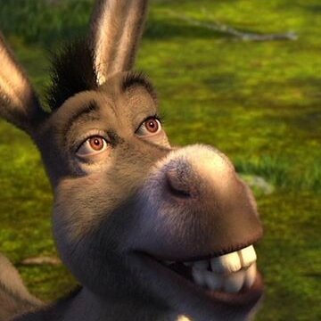 yep68587513's profile picture. no hay quien me gane