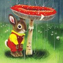 Tom Adelman - @TomAdelman3 - Twitter