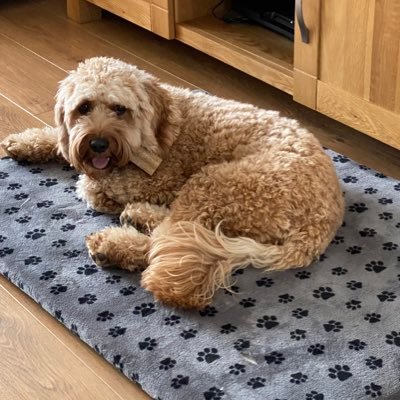 LauraRo01559692's profile picture. 