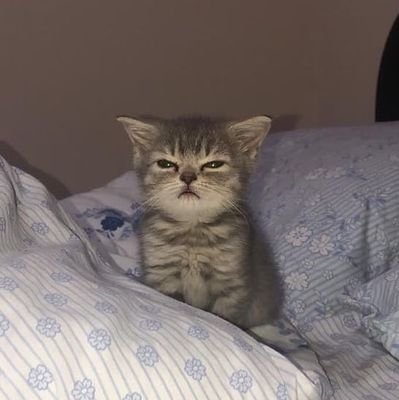 BEBYTAMALAA's profile picture. Niña con mala actitud 😈💋
👉 SIGO A QUIEN ME SIGUE!!! 👈😁😉