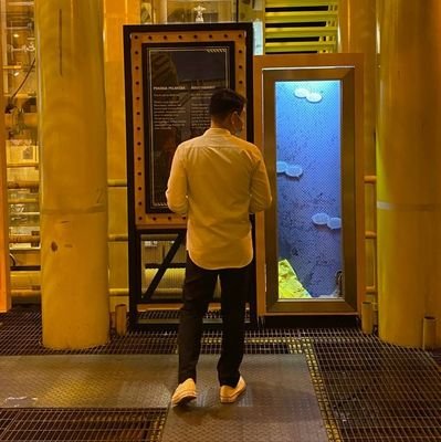 pojieeeibrahim's profile picture. Tophatters